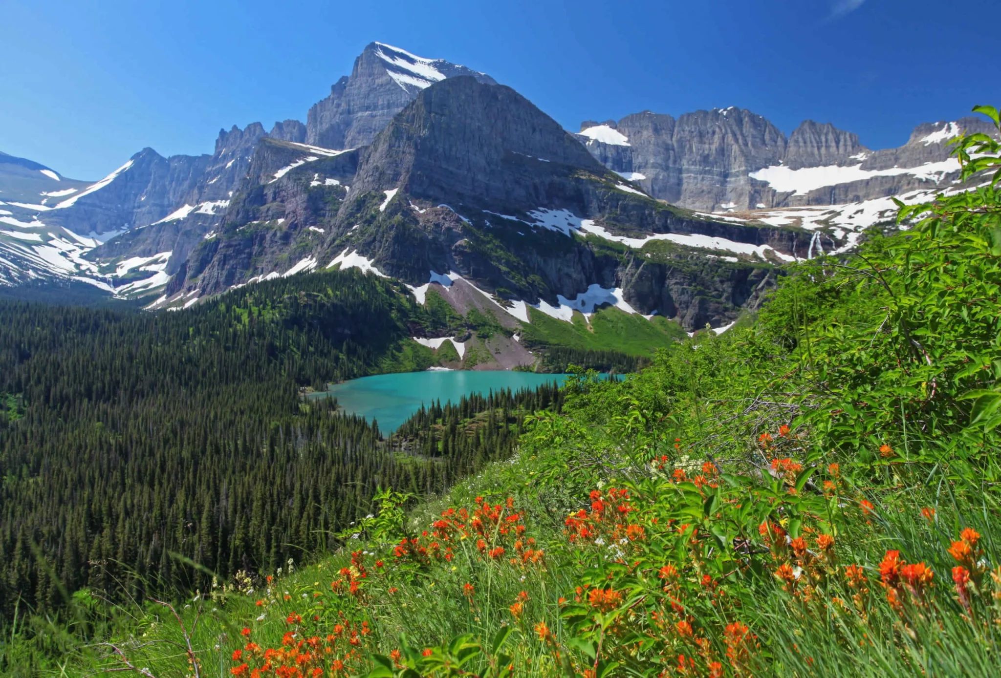 Glacier National Park Scene